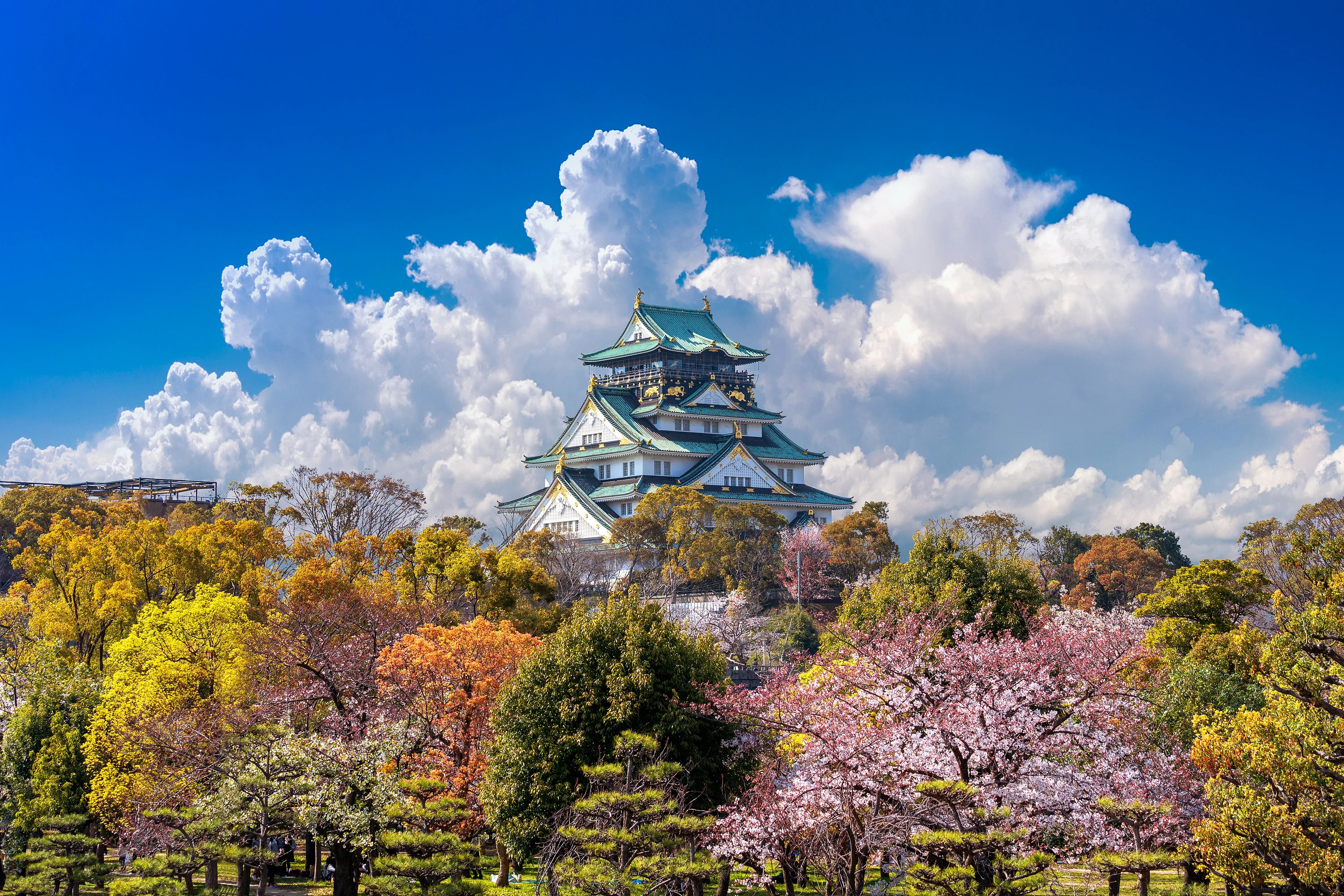 Japanese translation and localization