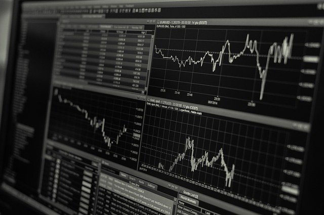 profit and translation