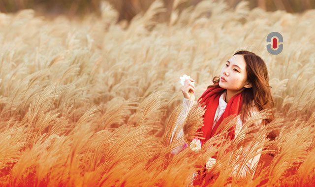 The importance of professional Chinese fashion translation