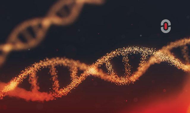Overcoming Challenges in Life Sciences Translation for Asian Languages