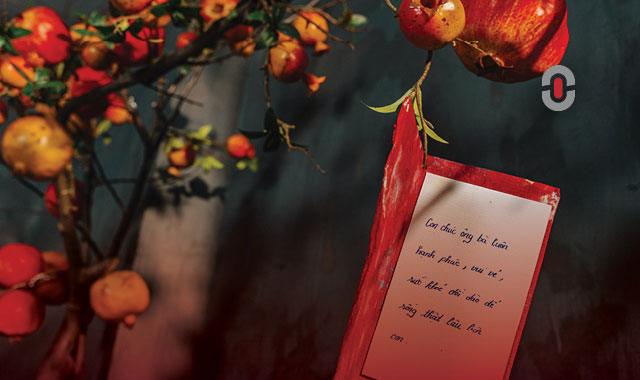 The Role of Vietnamese Language Annotation in AI and ML