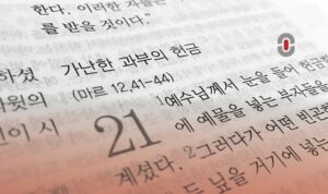 Enhancing Korean Translation Processes - A Case Study