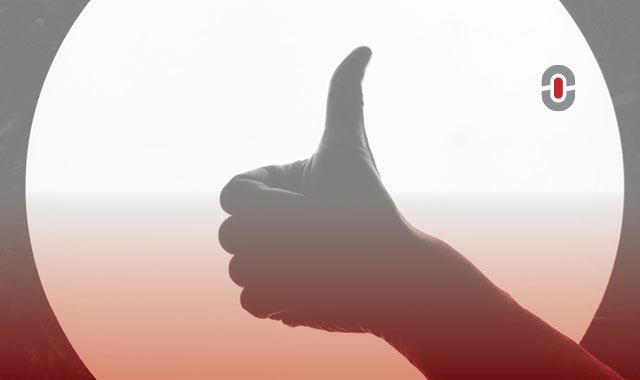 holistic translation services