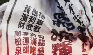 Featured User Manual Translation for Mandarin Speakers