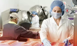 Featured The Translators Role in Food Safety and Compliance