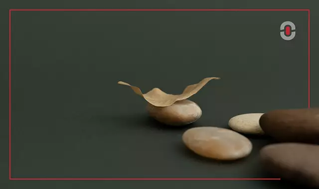 A paper-thin leaf balanced delicately on top of a smooth stone, surrounded by other pebbles, symbolizing the fragile balance between automation and human judgment in AI-assisted translation.