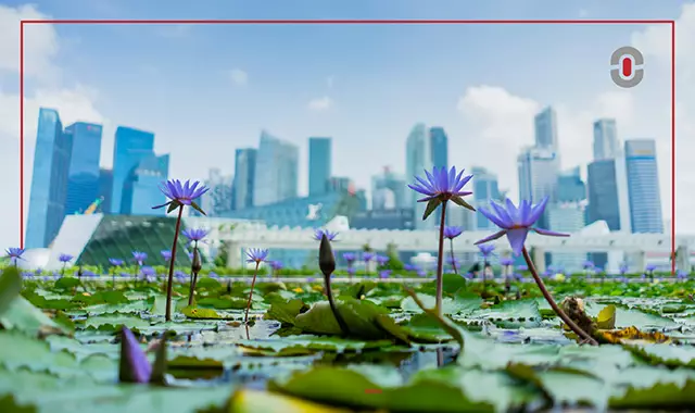Singapore signs and multicultural language cues, representing Singlish and English contrast