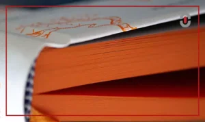 Vietnamese marketing copy examples from Orange Book by 1-StopAsia