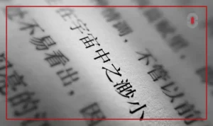 Investor Confidence Starts in Chinese: Why Financial Transcreation Matters in Hong Kong