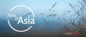 Pulse of Asia - Summer 2024