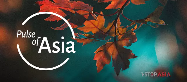 Pulse of Asia - Autumn 2024