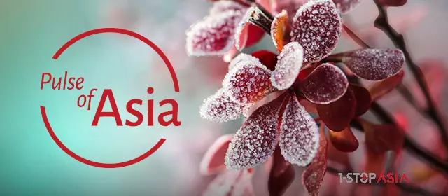 Pulse of Asia Winter 2024
