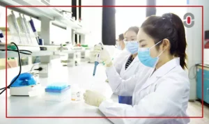 clinical trial translation process