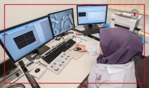 Regulatory translation accuracy Malaysia