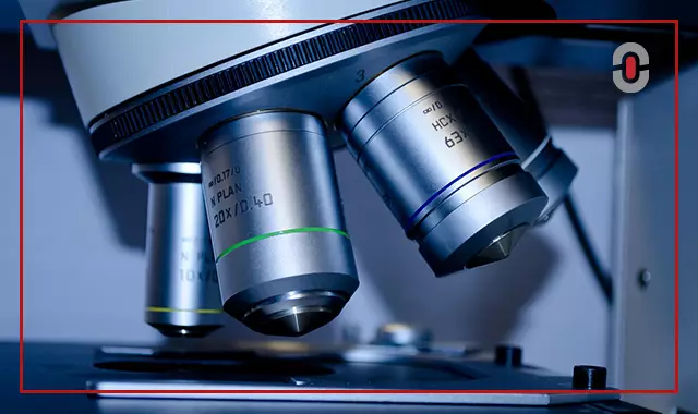 medical translation companies healthcare