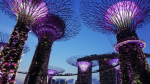 garden-by-the-bay-503897_960_720