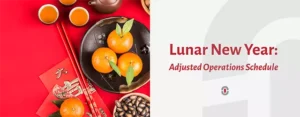 Lunar New Year 2025